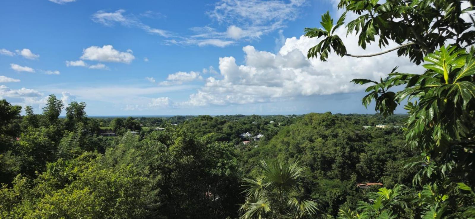 Maison Du Soleil Les Abymes Esterno foto